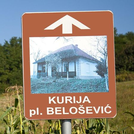Kurija Inn Hrascina Exterior foto